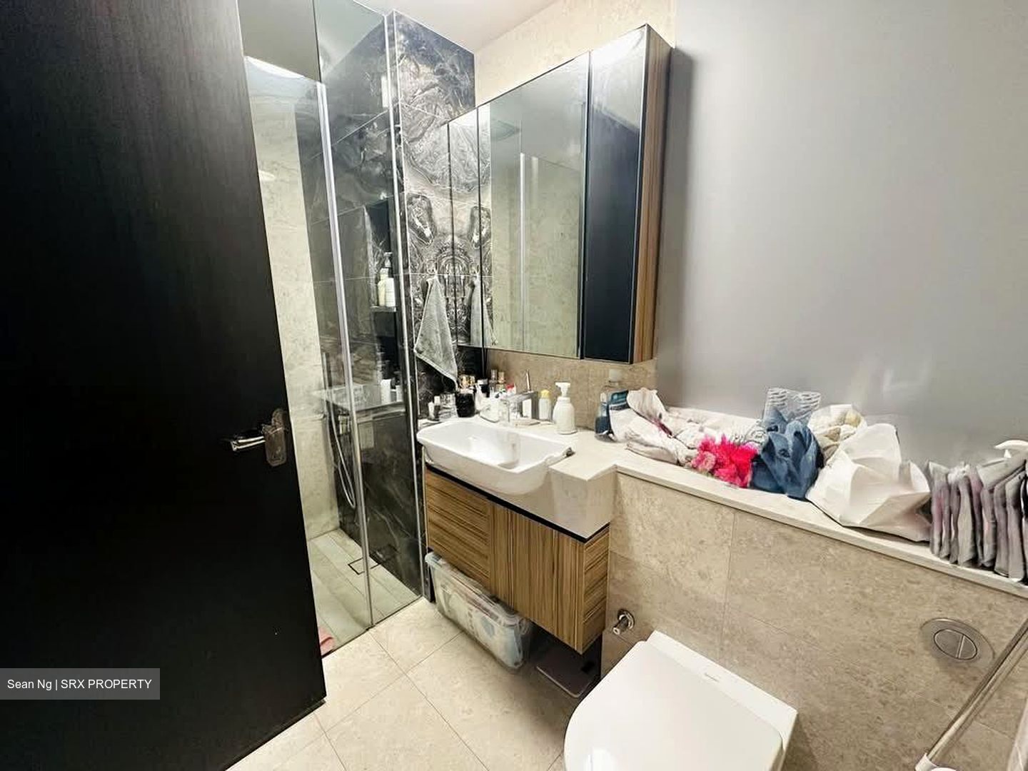 Pullman Residence  (D11), Condominium #554804111